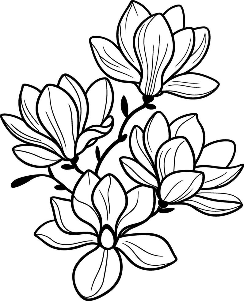 magnolia flowers coloring pages Silhouette vector