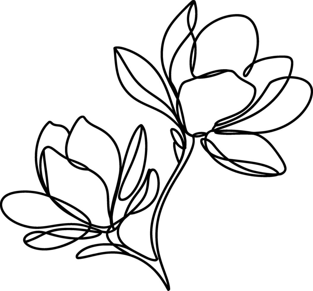 A magnolia flowers coloring pages black Silhouette vector