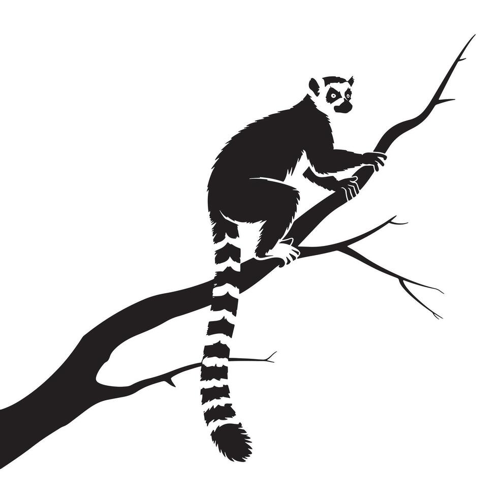 Ring tailed lemur perched on a tree branch in silhouette vector