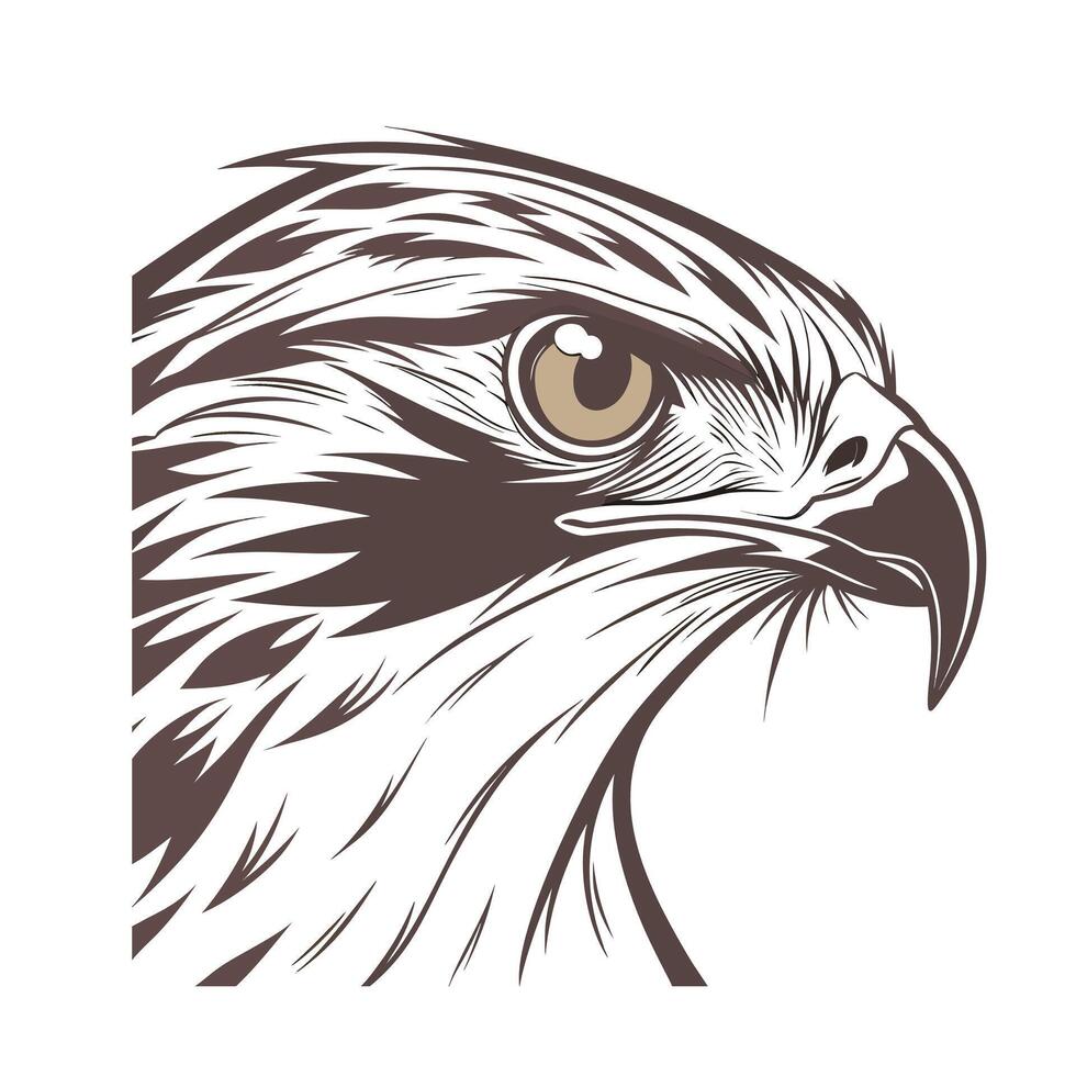 Brown a Hawk Head Profile with Detailed Feather Eye Design bird animal vector