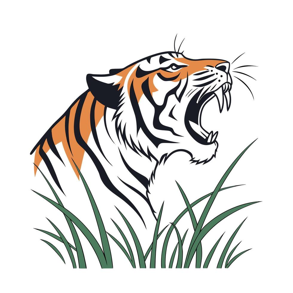 Roaring tiger with orange stripes markings green grass on animal wildlife vector