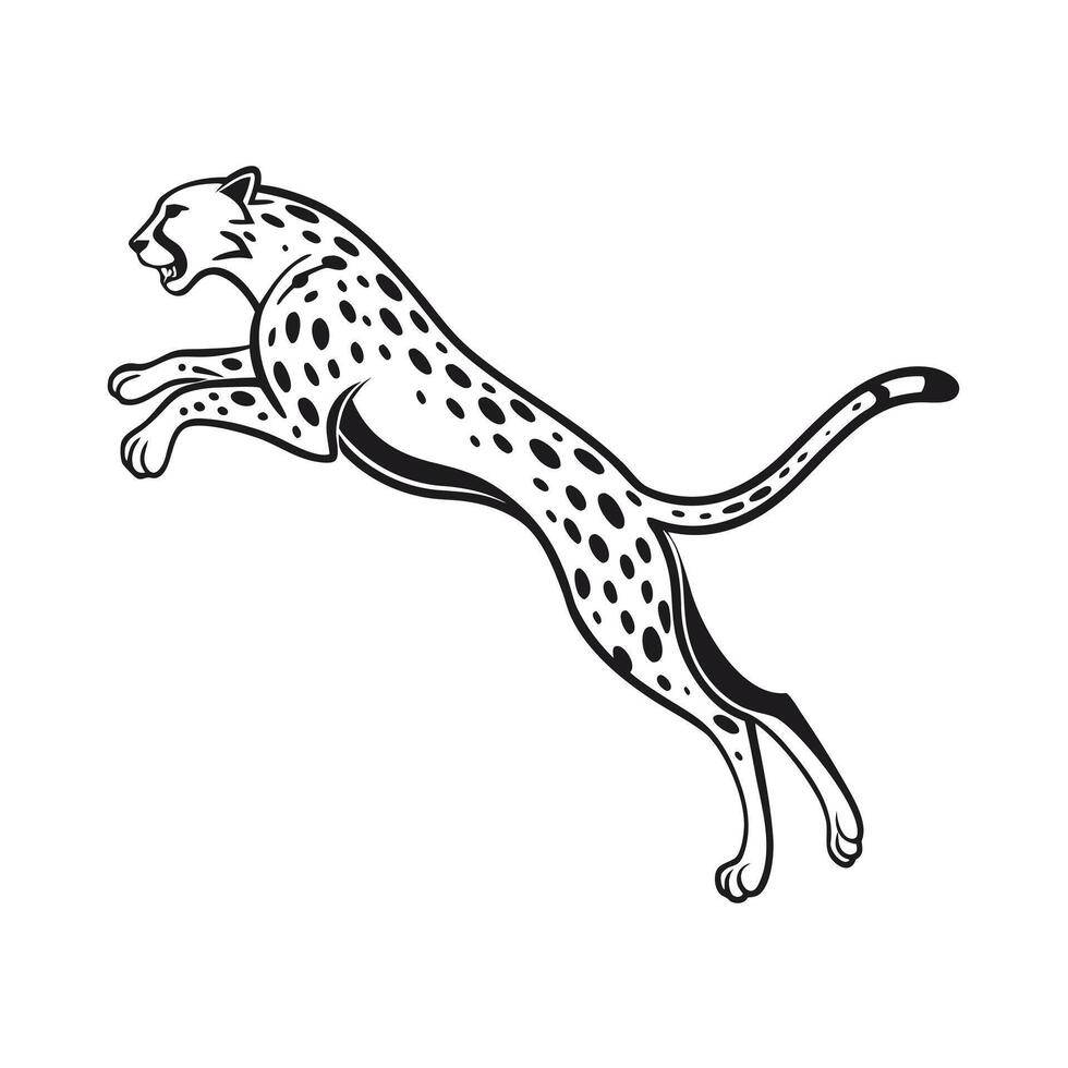 A leaping cheetah with spotted coat on a animal wildlife vector