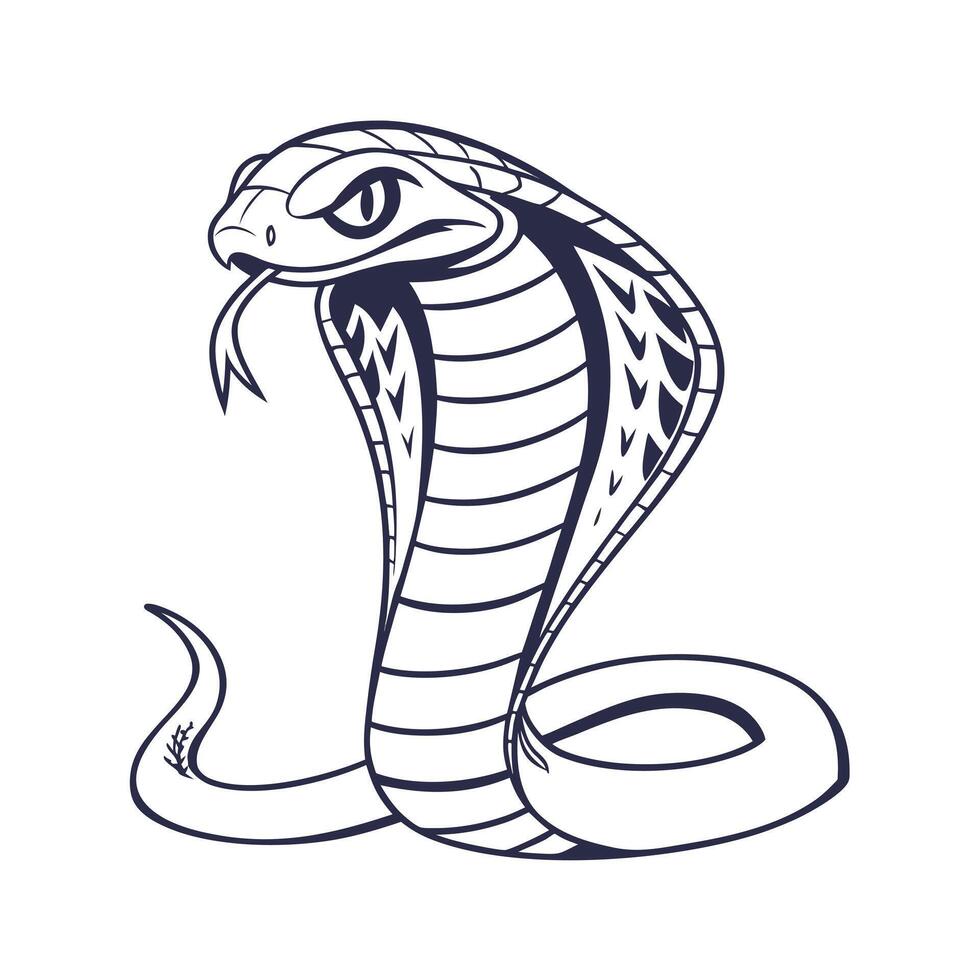 A Cobra Snake with Raised Hood Extended Tongue on serpent reptile vector