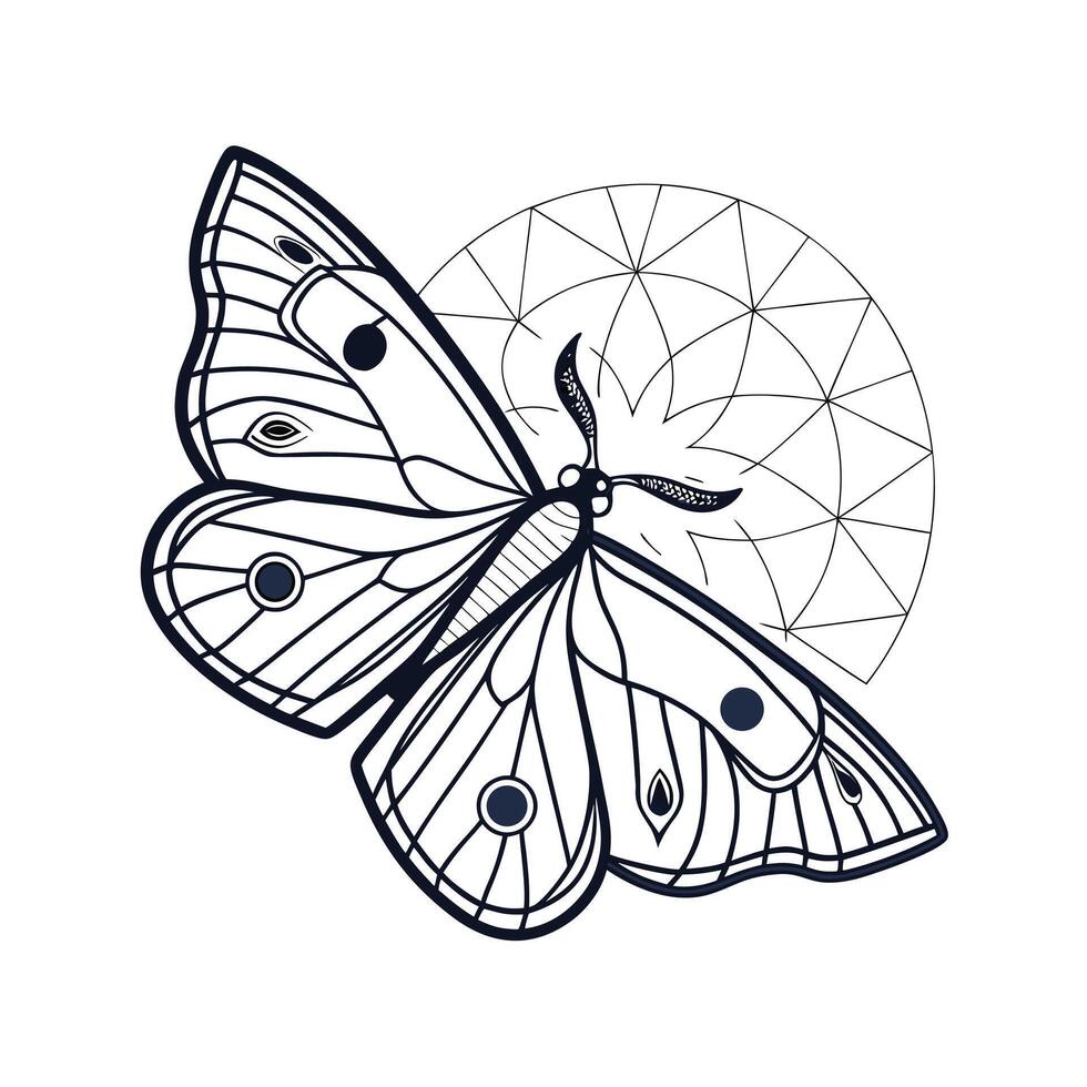 Butterfly with geometric design elements on a insect animal vector