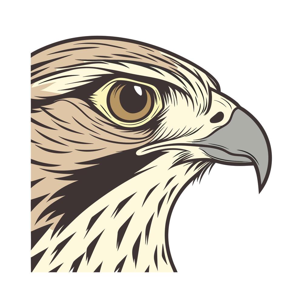 A hawk head profile with brown eye gray beak on bird animal vector