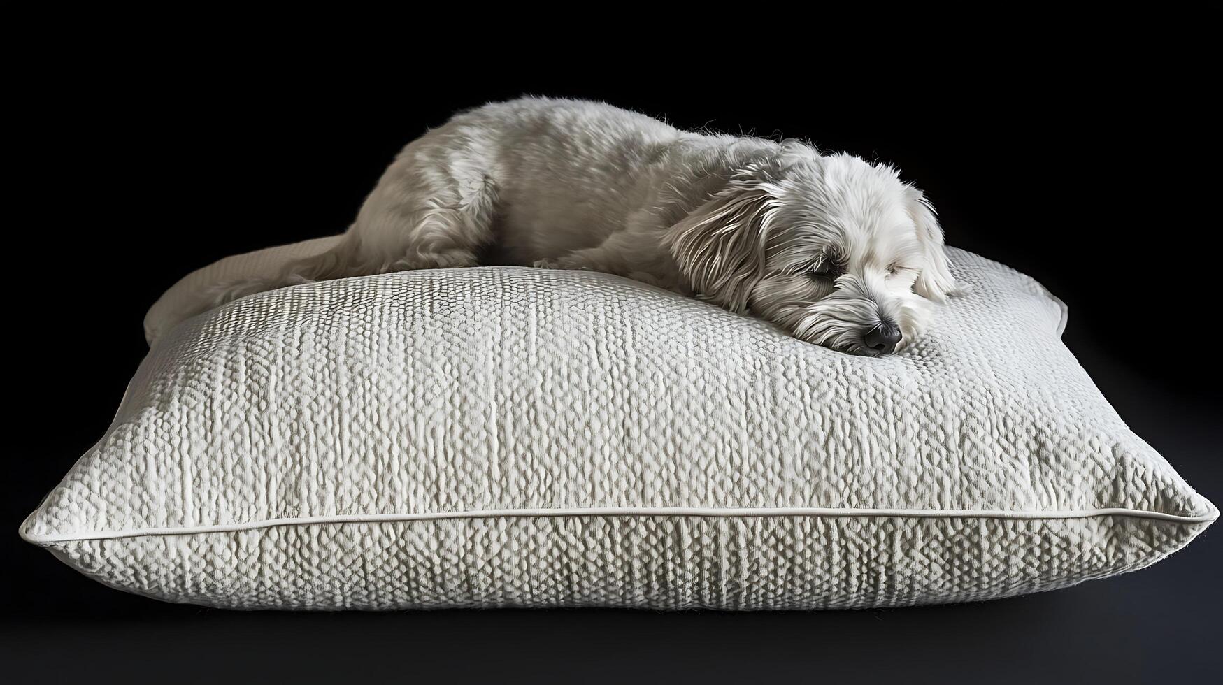 Relaxed Small White Dog Resting Comfortably on a Textured Pillow. photo