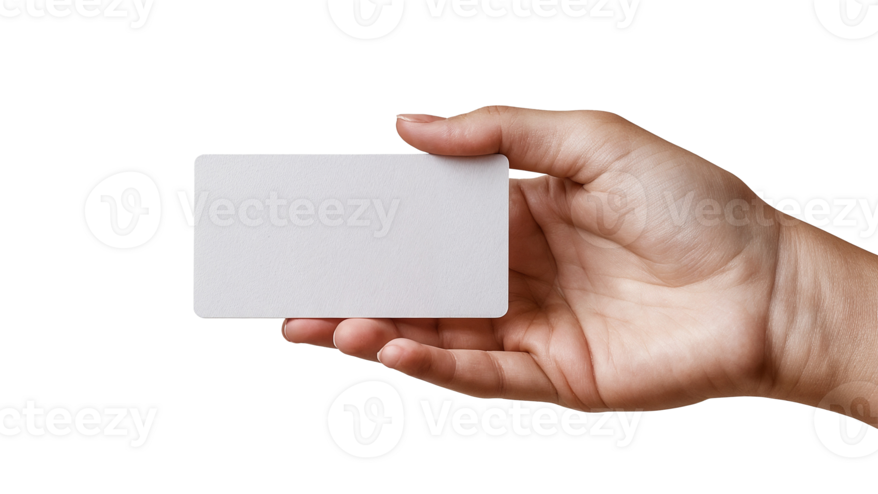 blank card held in hand on Transparent Background png