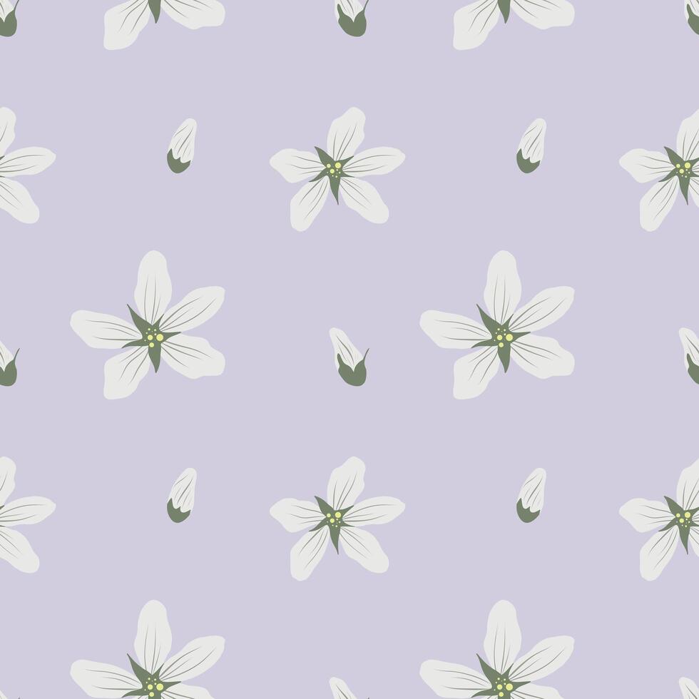 Seamless floral pattern with white flowers on a violet background. Floral repeat for packaging and fabric vector
