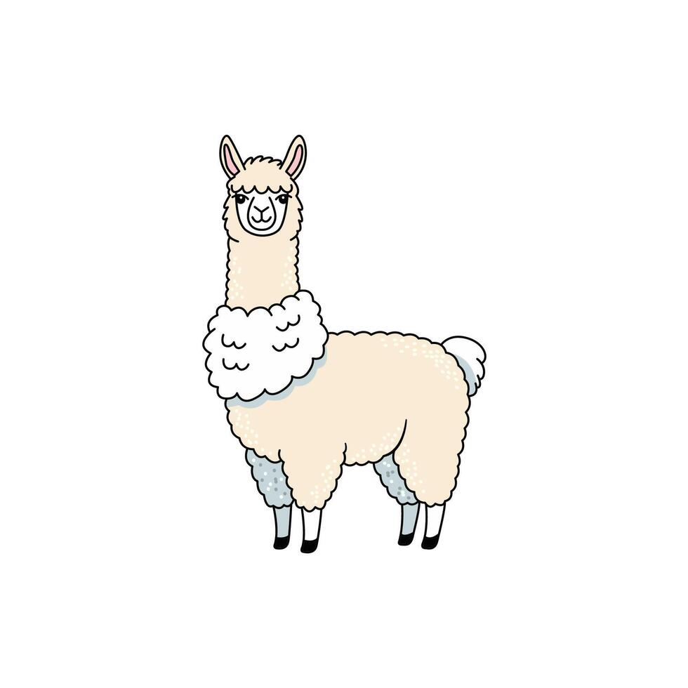 Cute Cartoon Alpaca with Fluffy Fleece and Friendly Expression vector