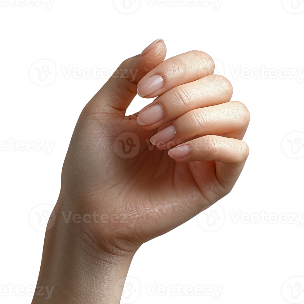 woman's hand with neutral manicure on Transparent Background png