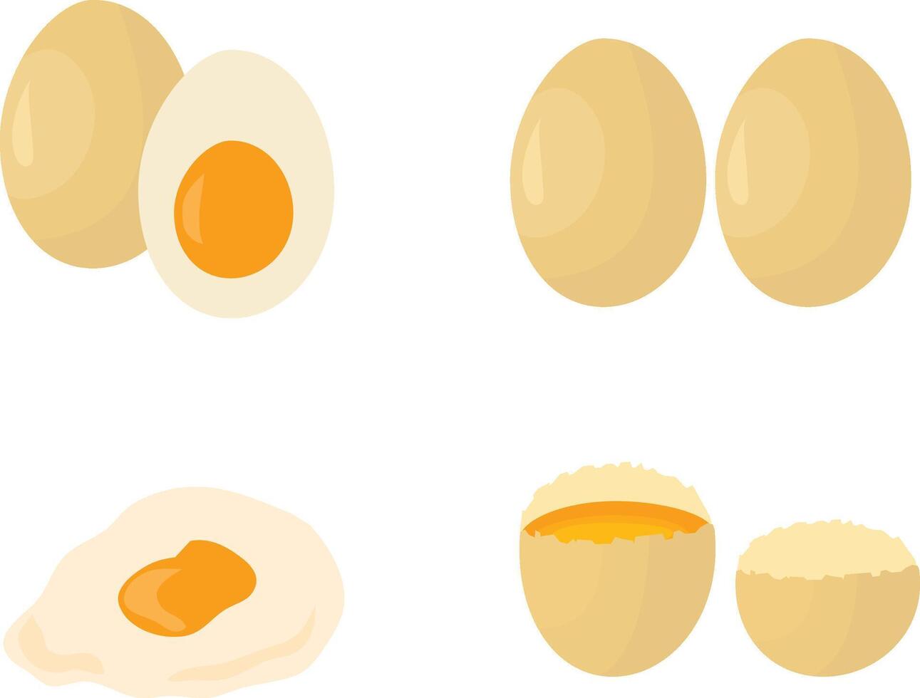 Egg Set with Whole Fried Cracked and Boiled Designs vector