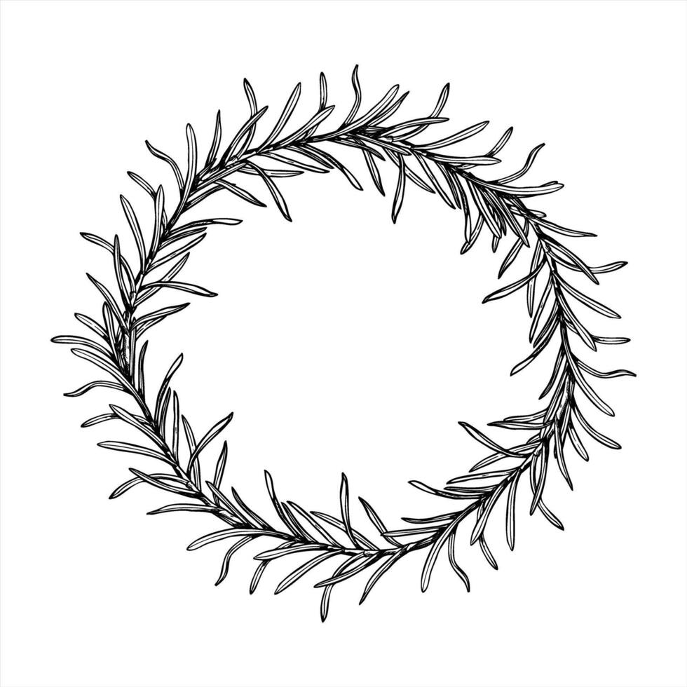 rosemary branches round monochrome wreath illustration painted by black inks. Mediterranean seasoning aromatic herbs etching drawing. Space for text. For gourmet food packaging, spa menu vector