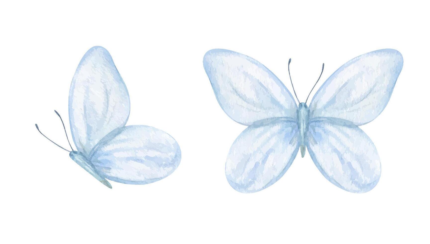 Delicate two abstract soft blue butterflies in flight, top and side views watercolor illustration set isolated background. Hand painted insect sketch for wedding stationery, nursery decor vector