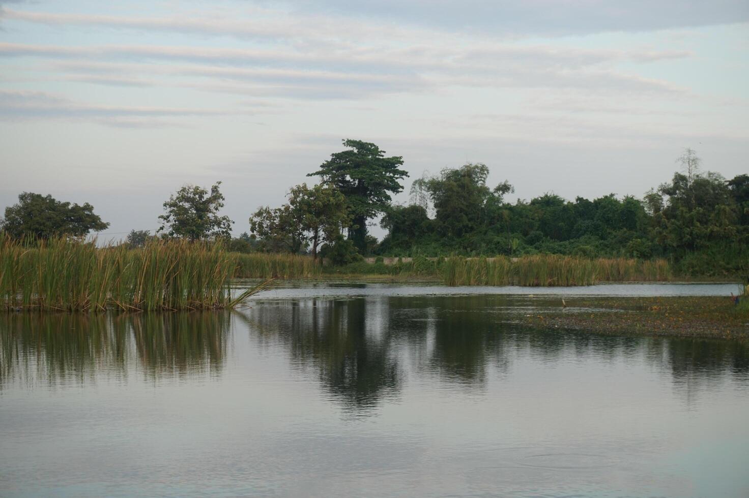 Tranquil lake reflects trees and distant houses under a soft sky photo