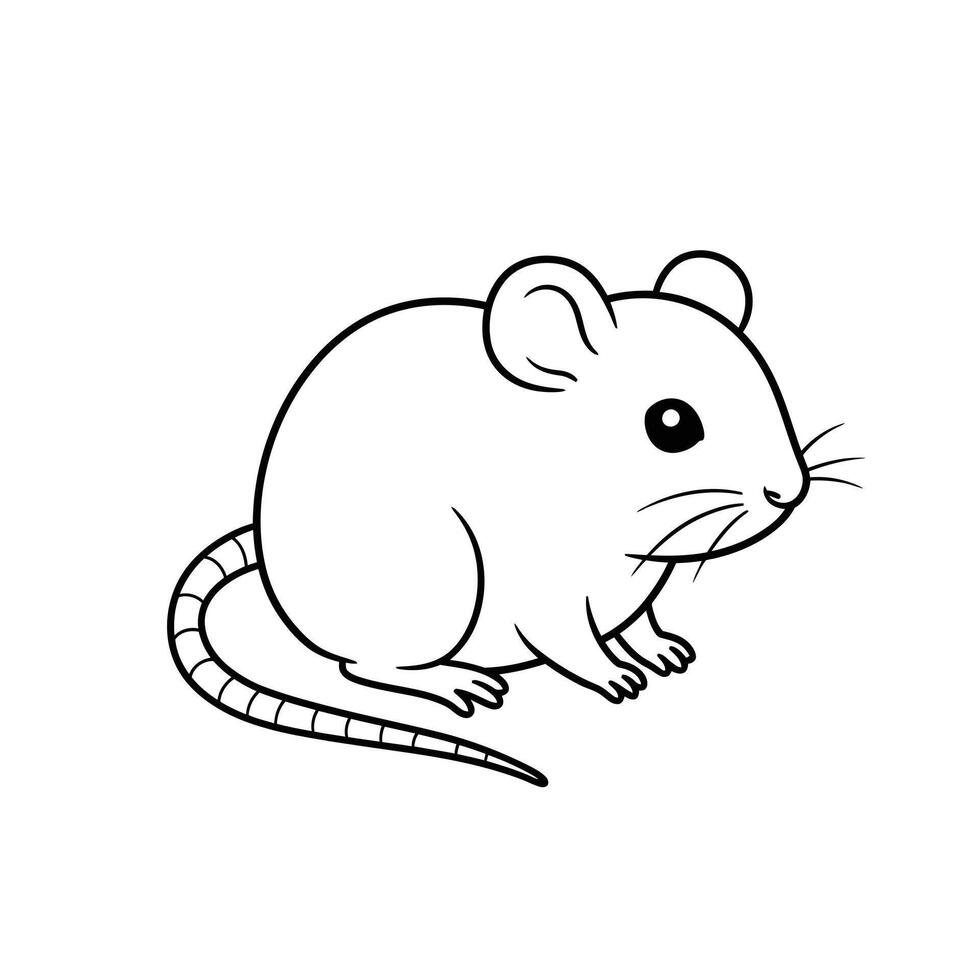 A mouse is shown in a line drawing vector