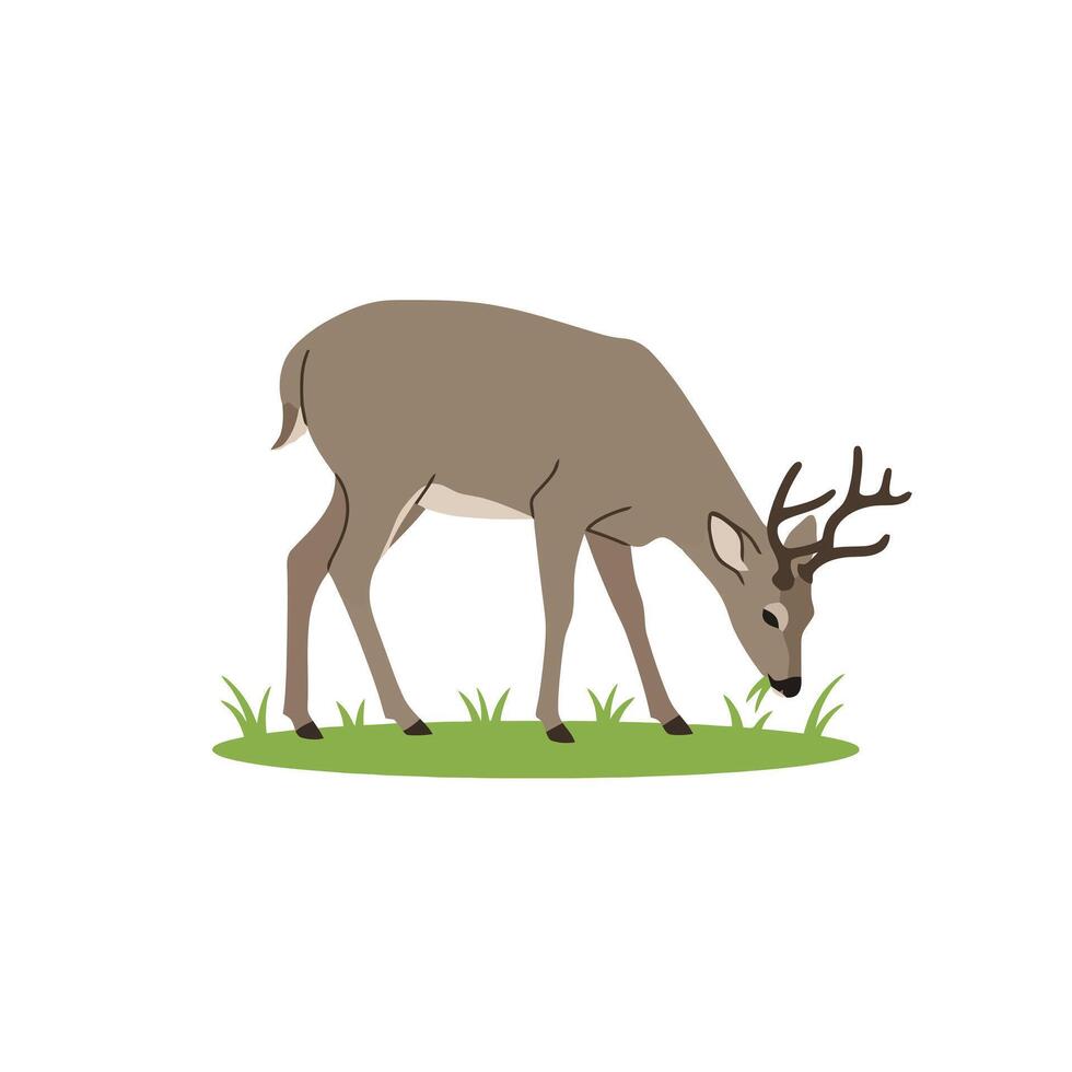 Deer in the grass illustration vector