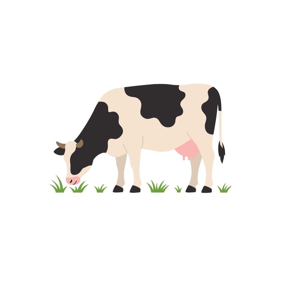 A cow is eating grass on a white background vector