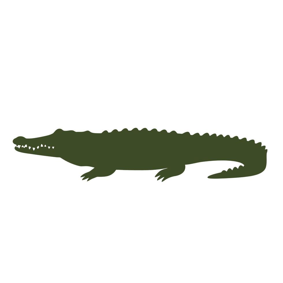 Crocodile silhouette on white background vector