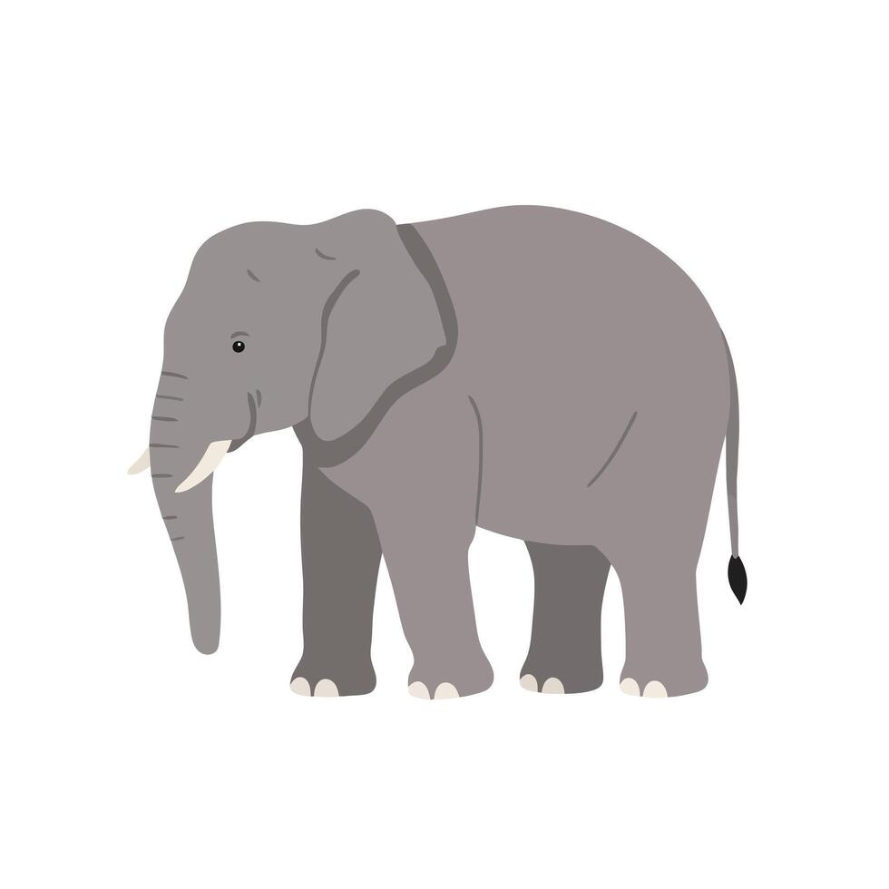 An elephant is standing in front of a white background vector