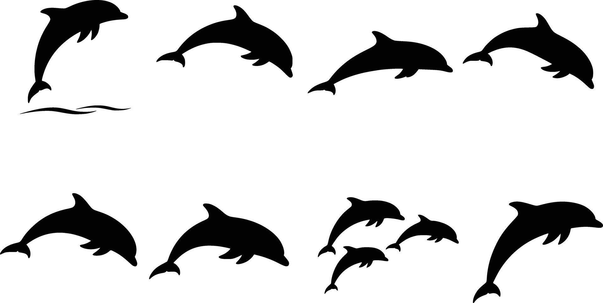 silhouette of a collection of black dolphin silhouettes in various dynamic poses isolated on a white background vector