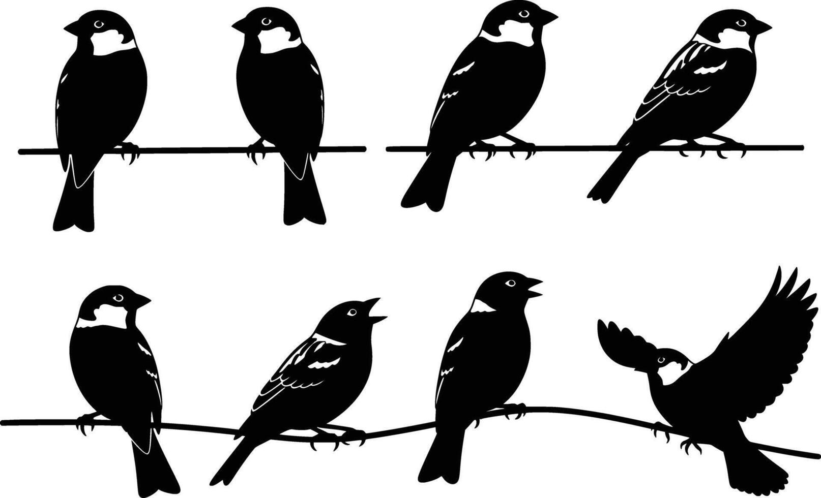 Birds on wire vector
