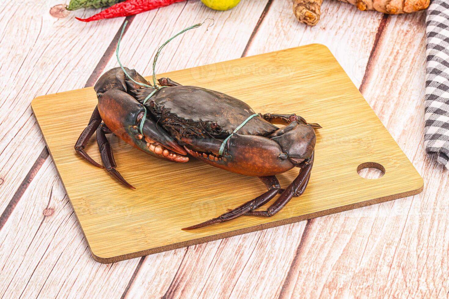 A crab on a cutting board with some spices photo