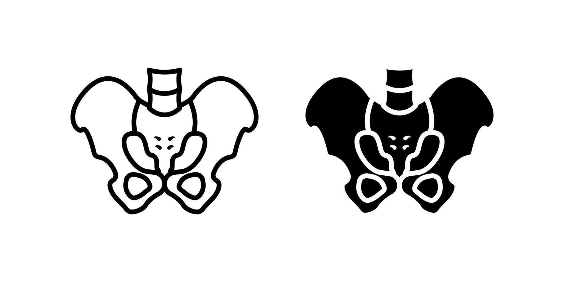 Pelvis icon set. human pelvis bone illustration. simple illustration of the skeletal system, medical, anatomy, health care related graphic asset. vector