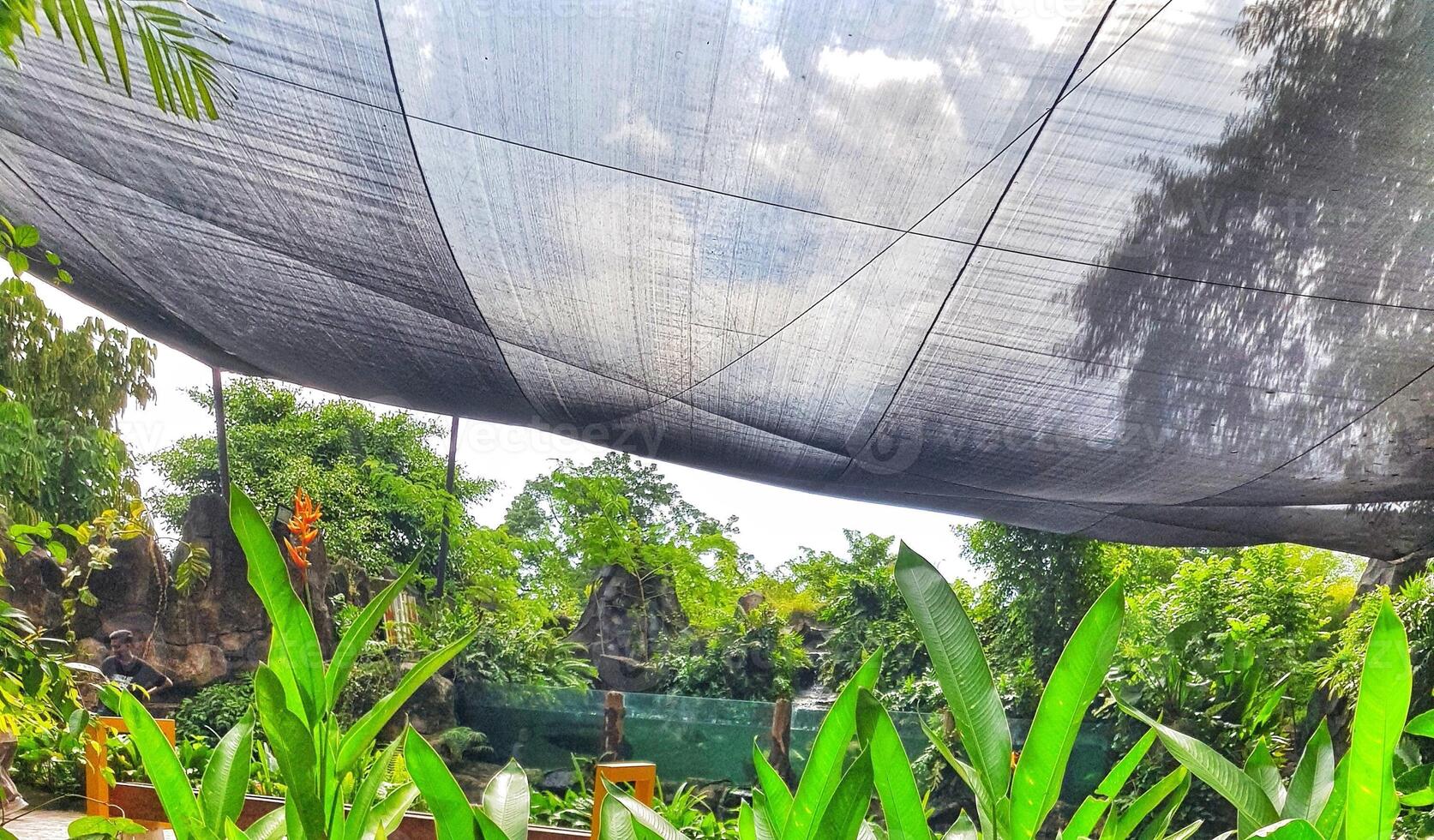 Relaxing Garden View with Lush Greenery and Overhead Shade photo