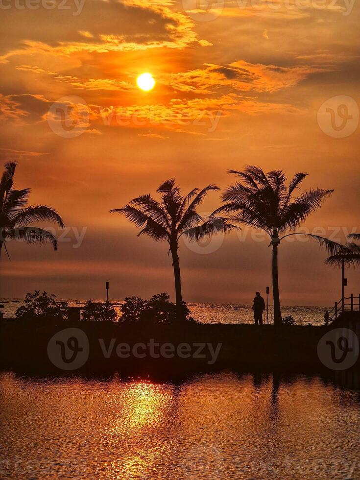 Palm Trees Silhouetted Against Golden Sunset by the Water photo