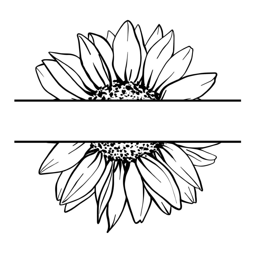 Sunflower flower close-up with space for text. illustration of sunflower for labels and products. Black and white botanical sketch drawn with black ink. Hand Drawn outline of Bouquet engraving vector