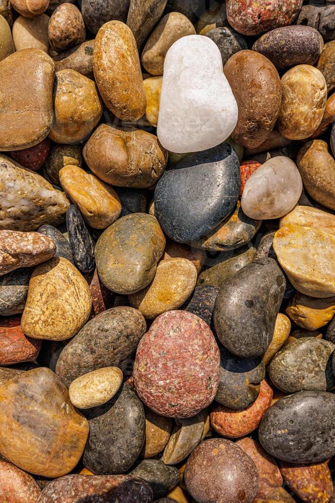 Relaxing colorful pebbles rounded rocks top view natural texture forming organic pattern serene background zen mood beach stones meditation surface earthy tones tranquil calm inspiration wallpaper photo