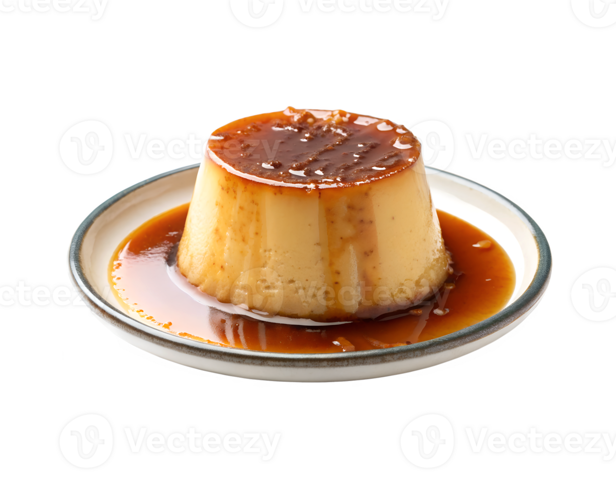 Caramel flan with sauce on a plate isolated on transparent background png