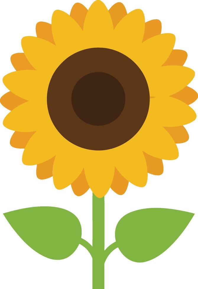 Sunflower bright yellow petals with green leaves isolated on white background illustration vector