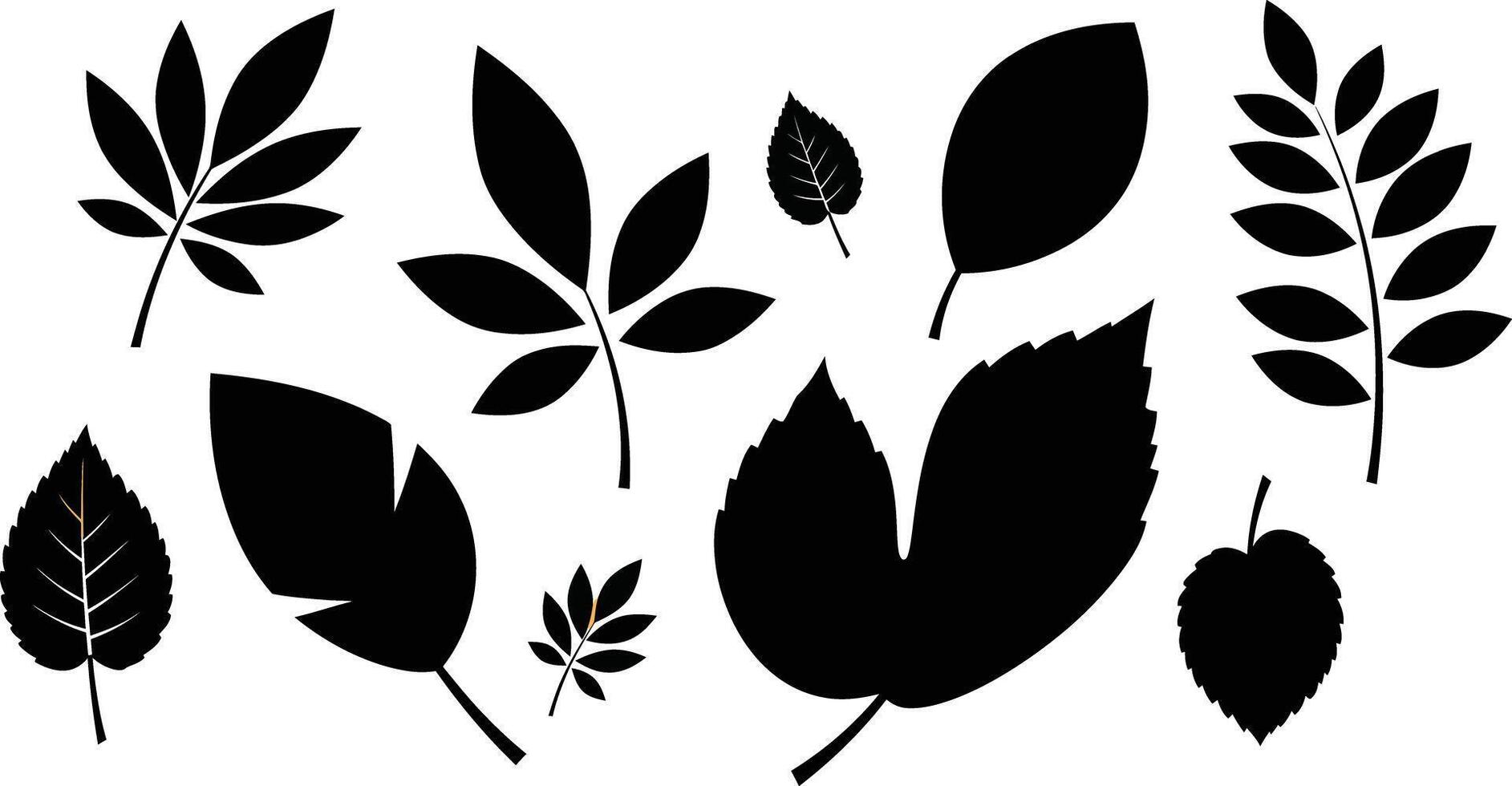 Collection of Various Black Silhouettes of Leaves in Different Shapes and Sizes on White Background vector