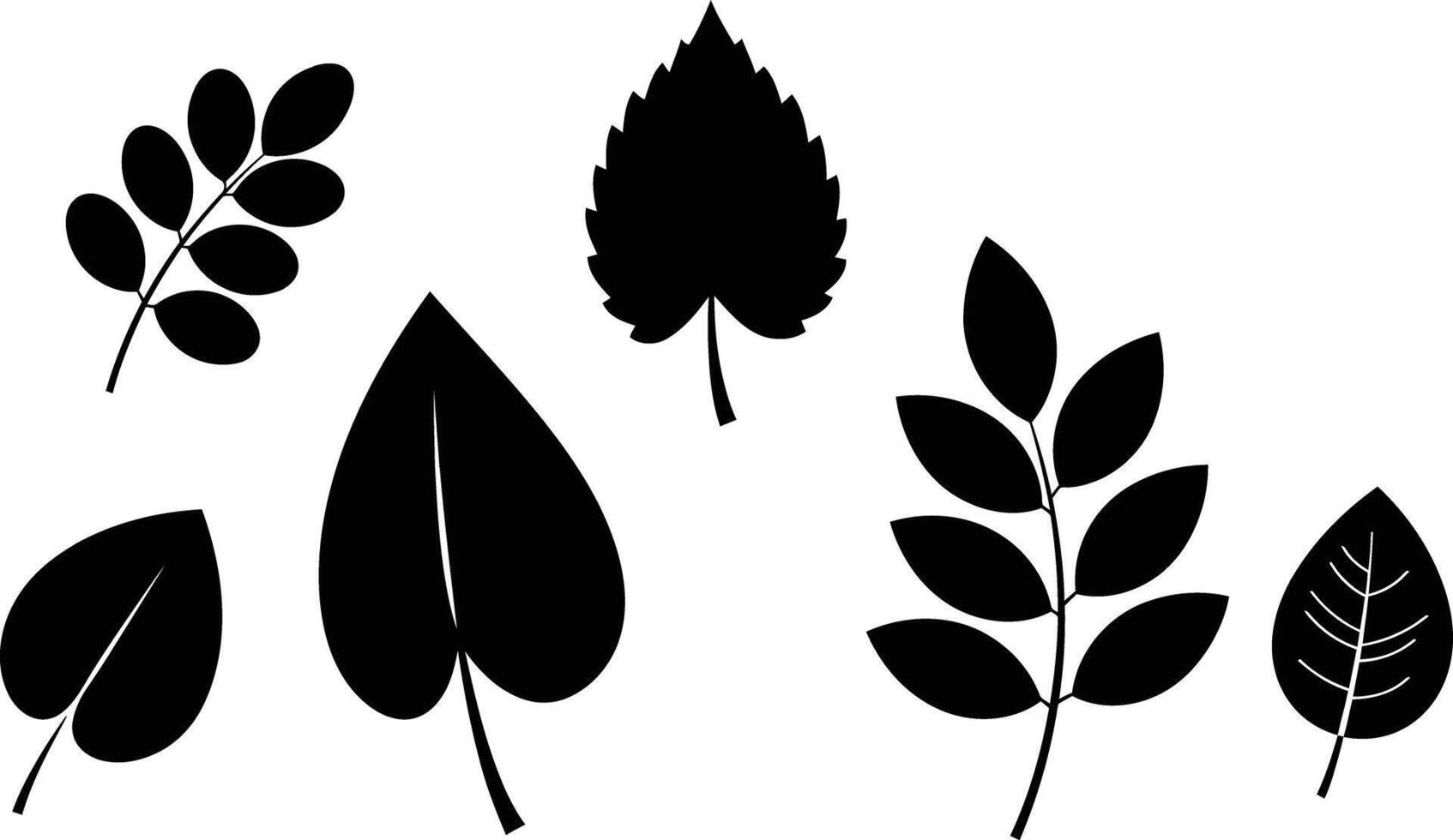 Collection of black silhouette leaves with various shapes and sizes natural design elements for decoration and illustration vector