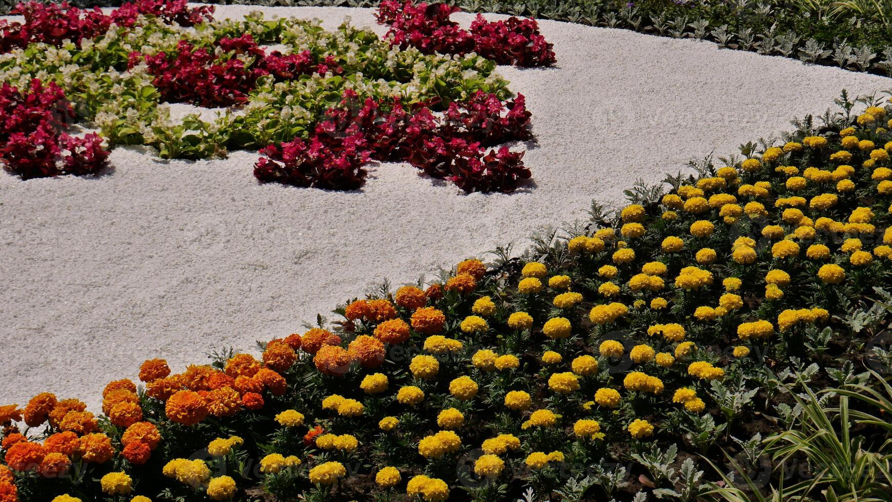 Flower Garden With Patterns Of Planted Decorative Flowers Around Fine Fraction White Granite Gravel photo