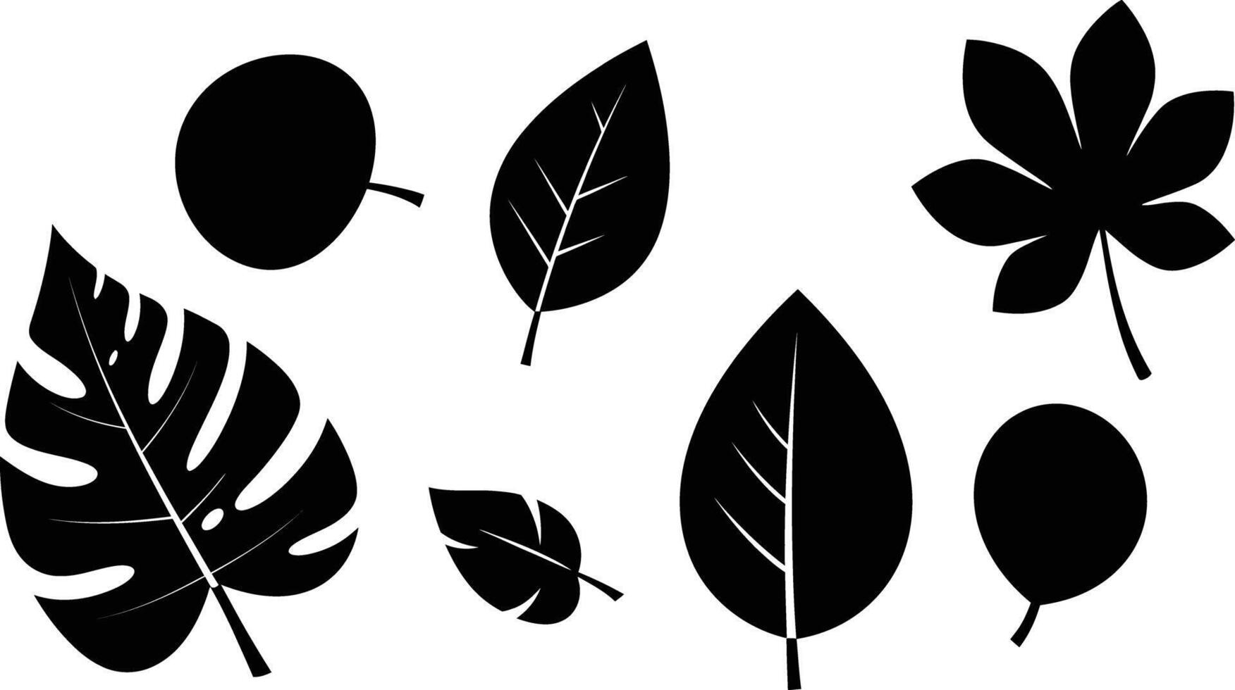 Various black silhouette leaves in different shapes and sizes isolated on white background natural design elements vector