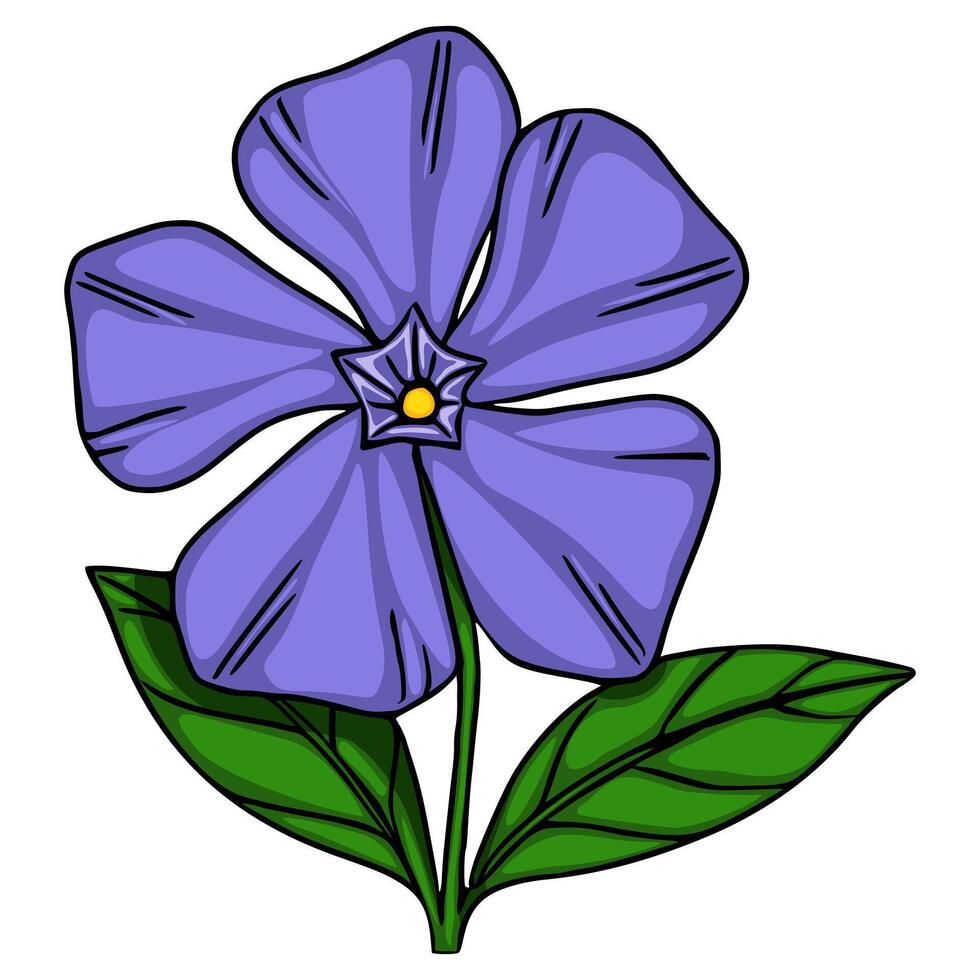 illustration of a stylized periwinkle flower with vibrant purple petals and deep green leaves, showcasing a unique handdrawn aesthetic. vector