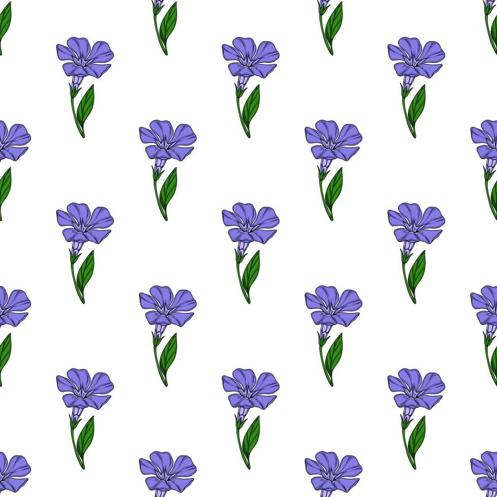Seamless pattern of delicate periwinkle flowers with vibrant purple petals and lush green leaves, arranged in a repeating design on a white background. vector