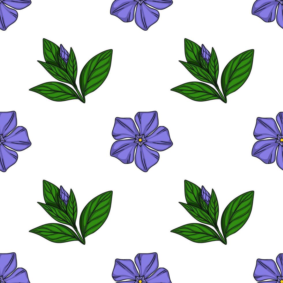 Seamless pattern with handdrawn periwinkle flowers and buds, featuring vibrant purple blossoms and deep green leaves against a crisp white background, ideal for textile prints or digital de... vector