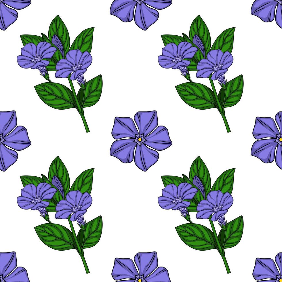 Seamless pattern of delicate periwinkle flowers and leaves, featuring a vibrant purple hue and detailed botanical illustration style, perfect for textile design or springtime projects. vector