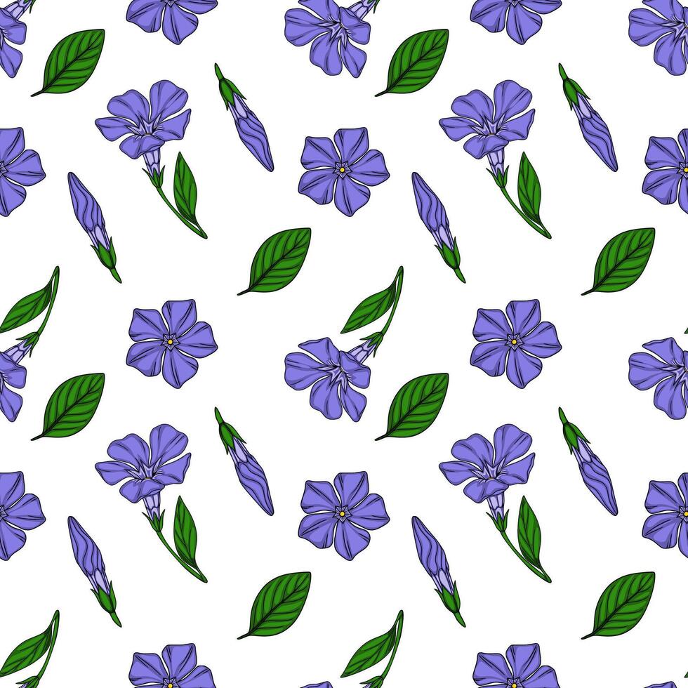 Seamless pattern of delicate periwinkle flowers and leaves, showcasing a charming botanical illustration with vibrant purple blossoms and lush green foliage, ideal for textile prints and sur... vector