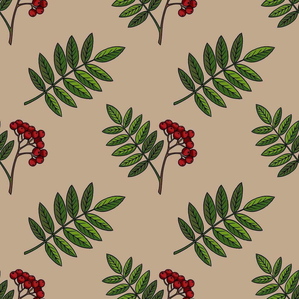 Seamless pattern with handdrawn rowan branches, featuring vibrant green leaves and clusters of rich red berries on a muted beige background, creating a rustic autumnal design. vector