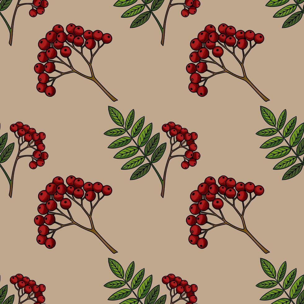 Seamless pattern of handdrawn rowan branches with red berries and green leaves on a beige background, perfect for autumnthemed designs and textile prints. vector