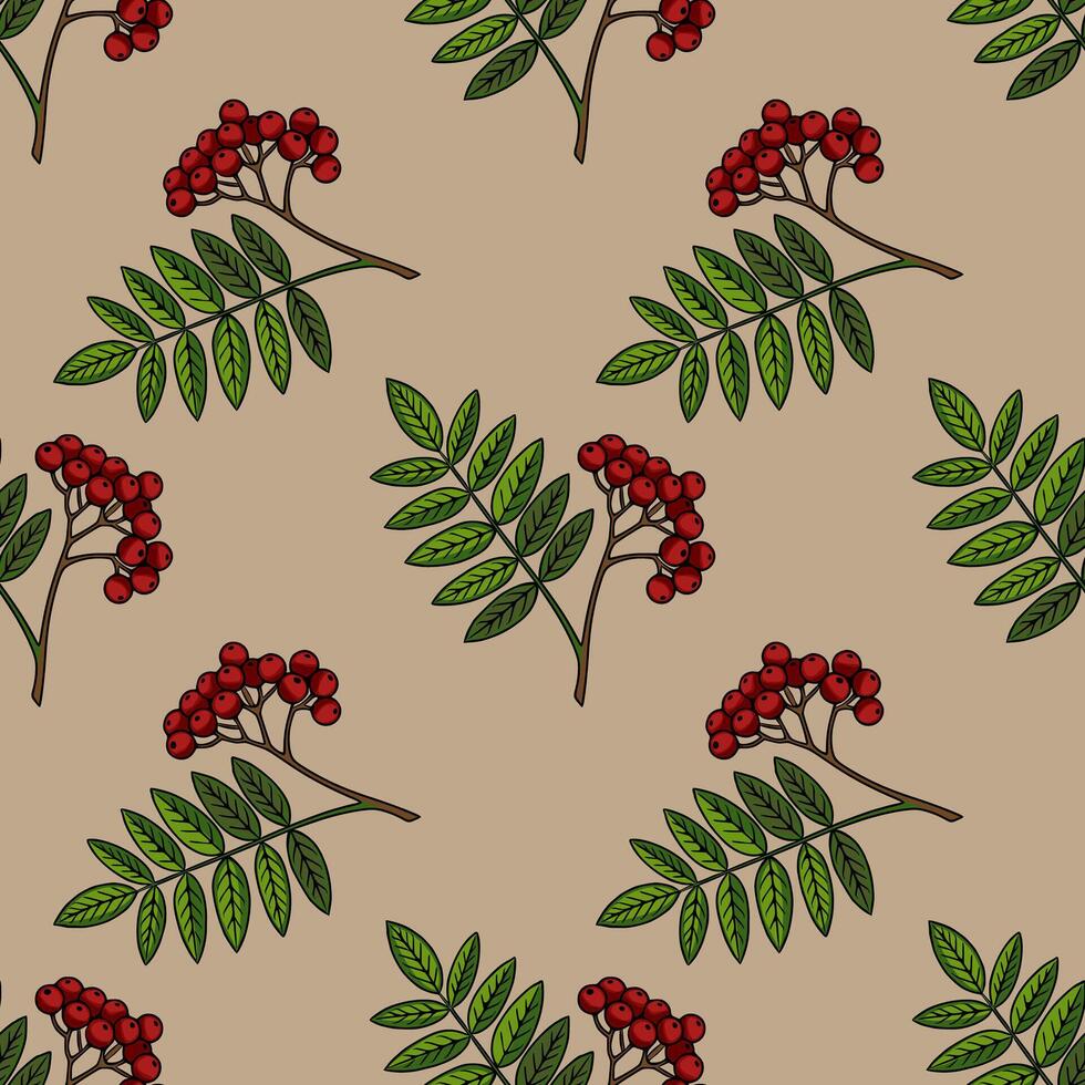 Seamless pattern of rowan branches with red berries and green leaves on a beige background, ideal for autumnal designs and textile prints. vector