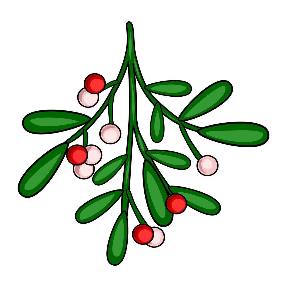 Festive Mistletoe Illustration A charming handdrawn style depiction of mistletoe branch with red and white berries, perfect for Christmas designs and holiday greetings. vector