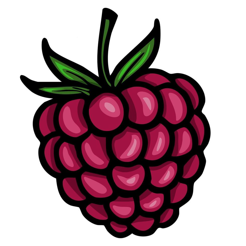 A vibrant, cartoonstyle illustration of a raspberry with detailed shading and bold outlines. The berry is plump and juicy, showcasing its characteristic shape and texture, with green leaves vector