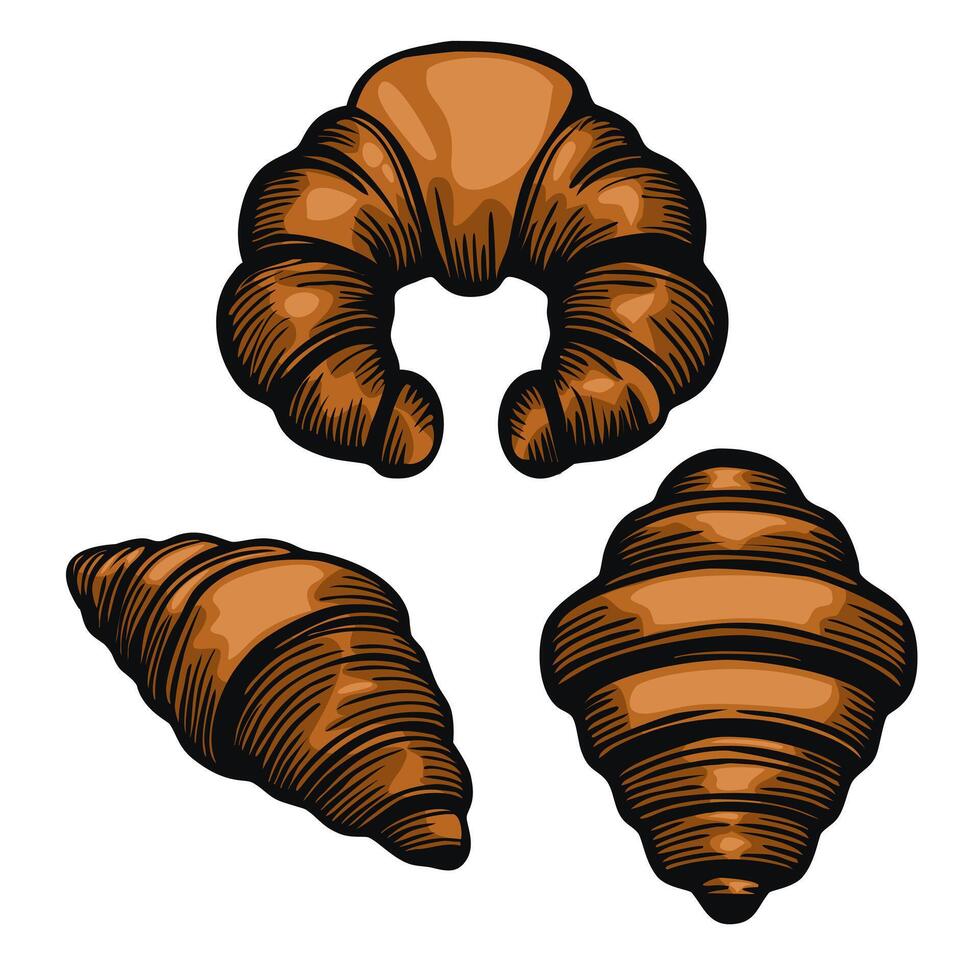 A collection of three stylized croissants and shells, showcasing their flaky texture and curved shapes. The illustration features a rich brown color palette, emphasizing the baked goods vector