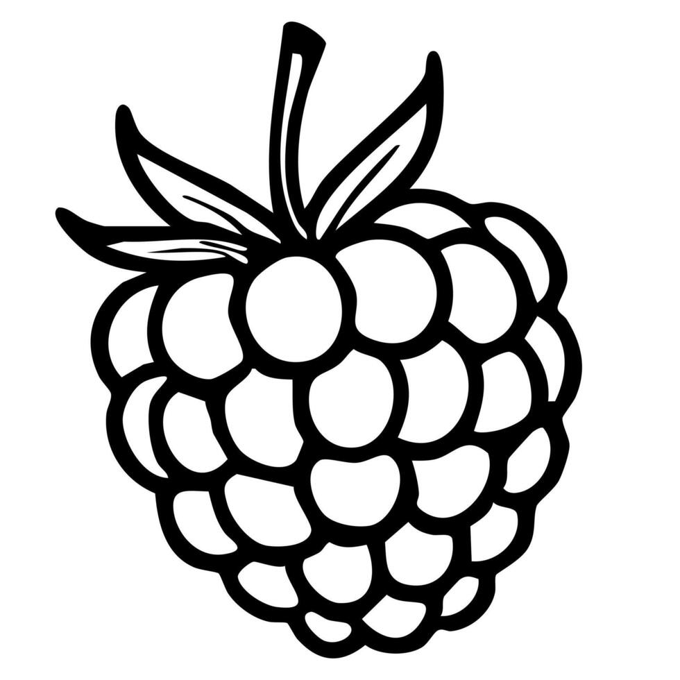 A stylized illustration of a raspberry with bold outlines and leaves, suitable for graphic design or educational purposes. vector