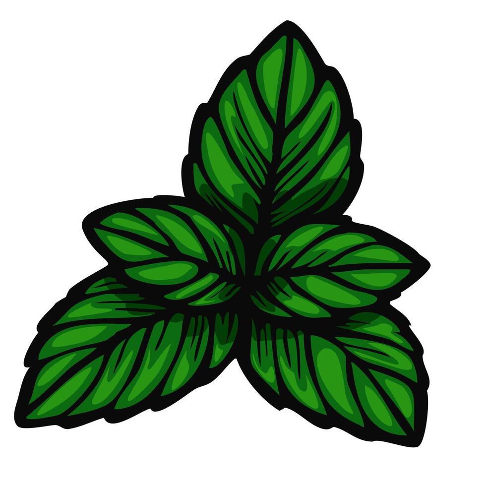 A stylized illustration of three green mint leaves with detailed veins and a bold outline, suitable for botanical or culinary themes. vector